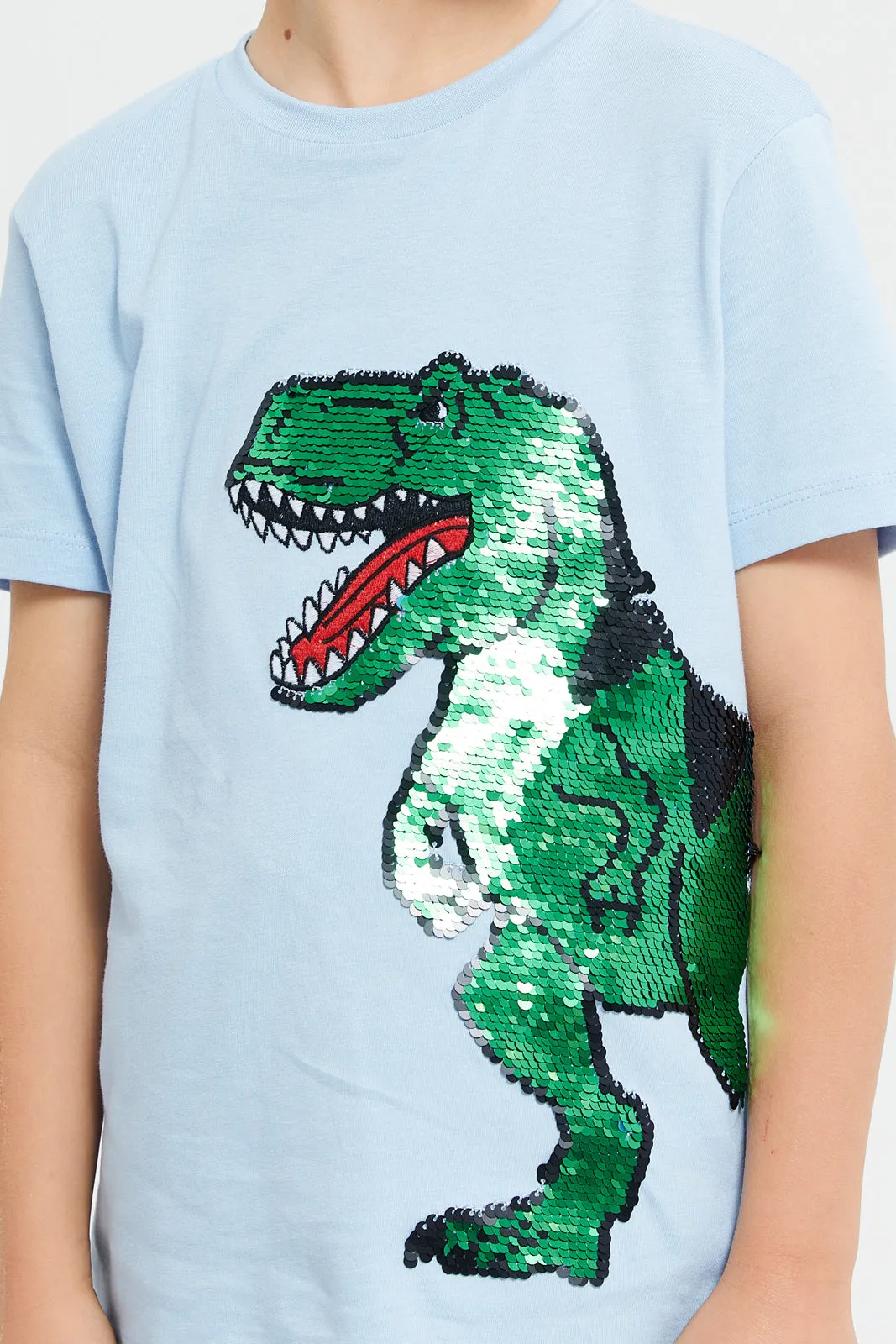 Boys Green Embellished With Sequence T-Shirt