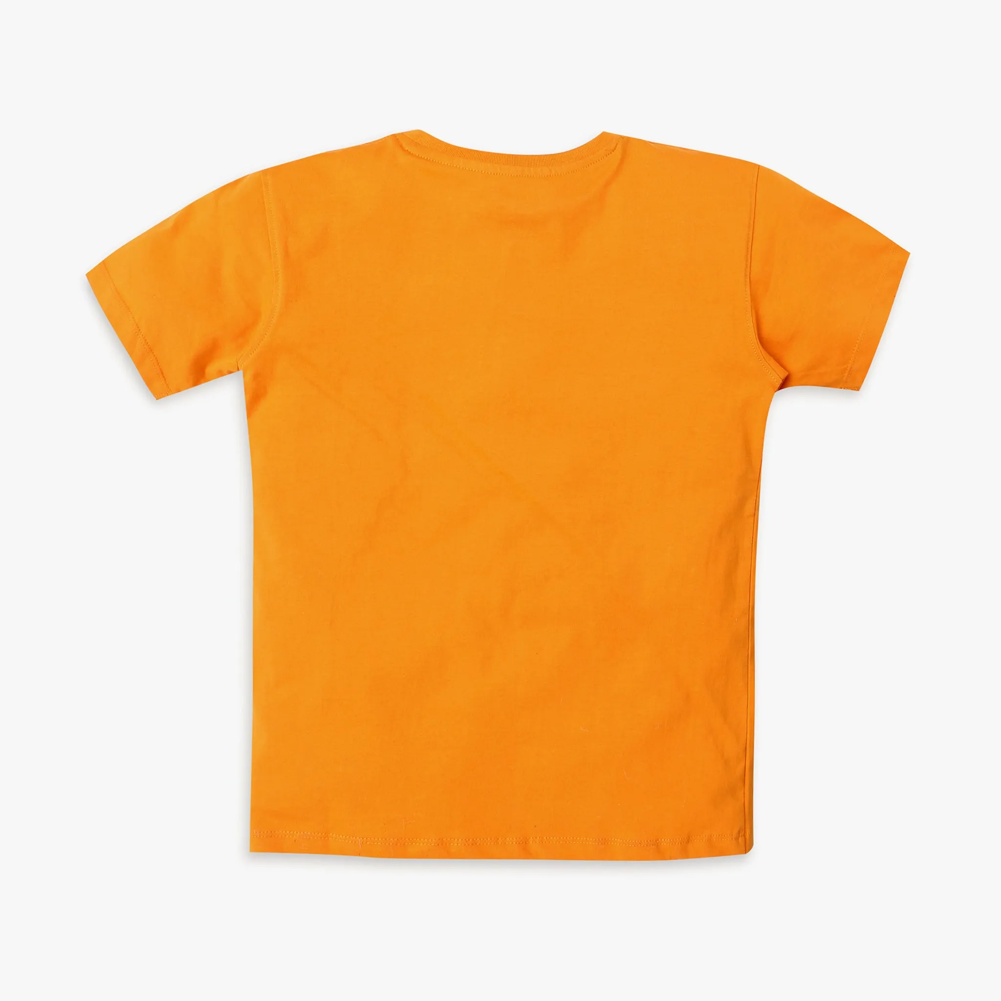 Boy's Regular Fit Graphic T-Shirt