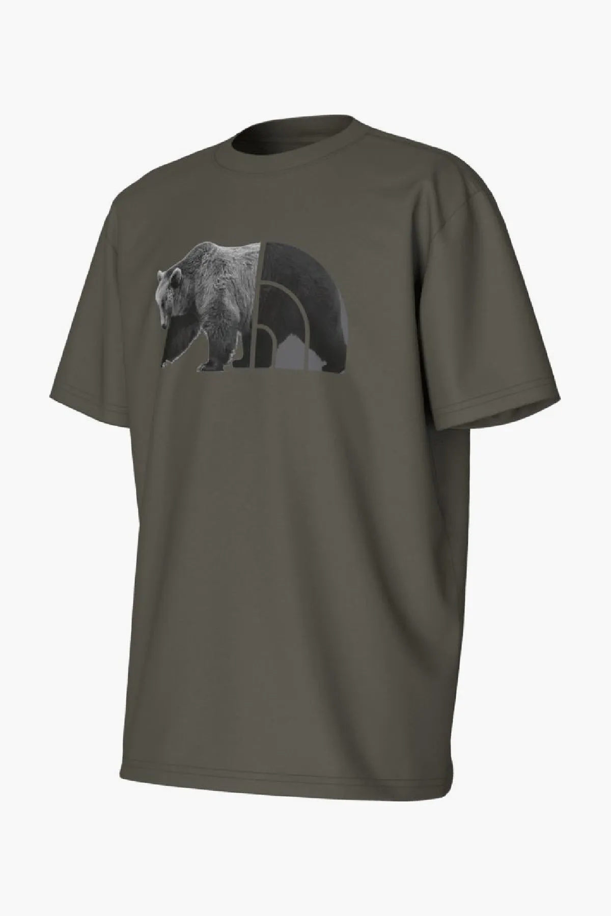 Boys T-Shirt North Face Bear T-Shirt